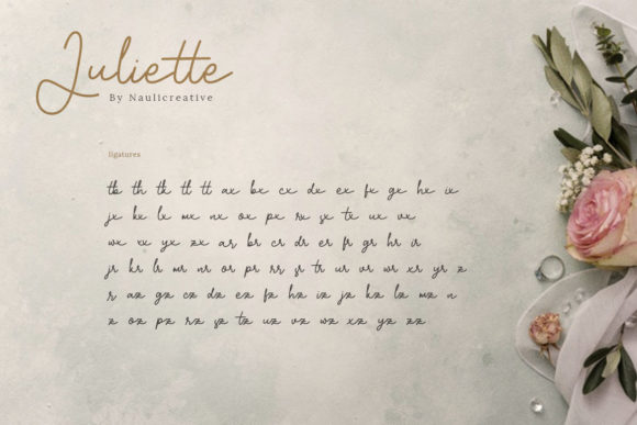 Juliette Font Poster 3