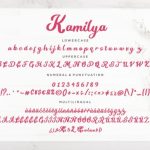 Kamilya Font Poster 7