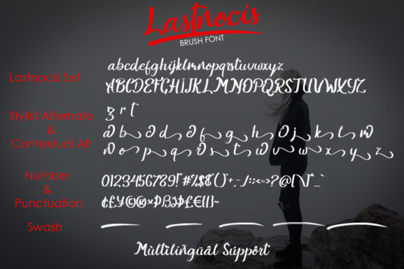 Lastnocis Font Poster 8