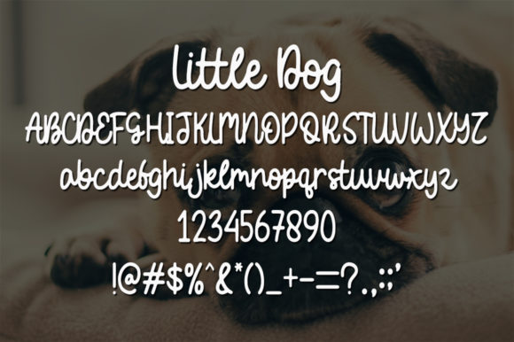 Little Dog Font Poster 5