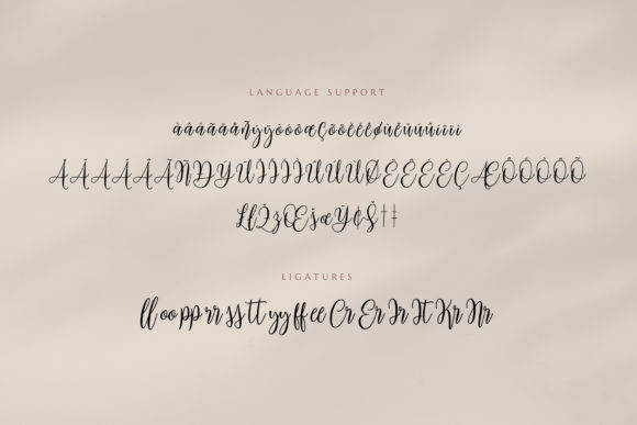 Mariposa Font Poster 13