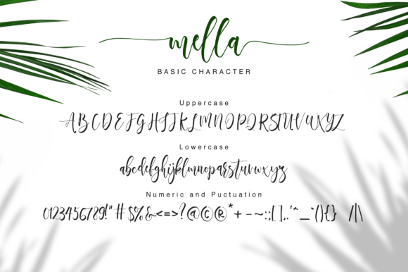 Mella Font Poster 11