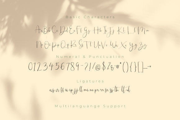 Meraviglias Font Poster 6