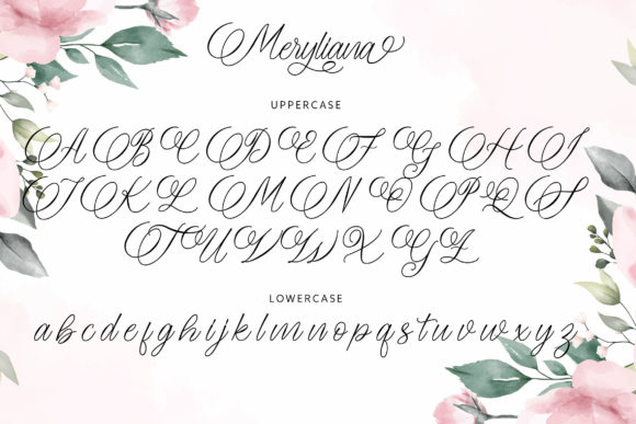 Meryliana Font Poster 8