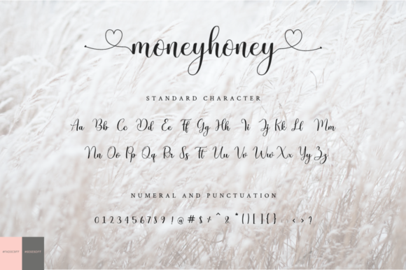 Moneyhoney Font Poster 9