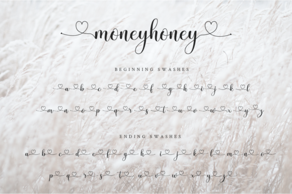 Moneyhoney Font Poster 10