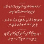 Monology Font Poster 8