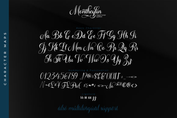 Montheylin Font Poster 9