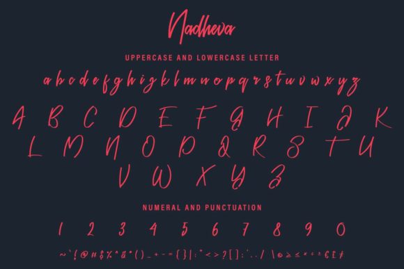 Nadheva Font Poster 4