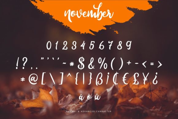 November Font Poster 3