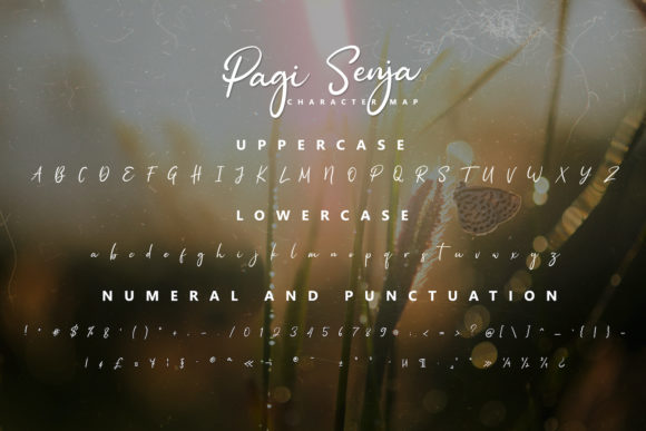 Pagi Senja Font Poster 11