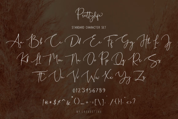 Prettylife Font Poster 11