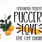 Puccery Love Font Poster 1