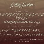 Qillsey Einstein Font Poster 3