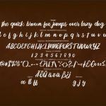 Reffin Font Poster 6