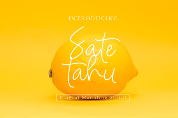 Sate Tahu Font Poster 1