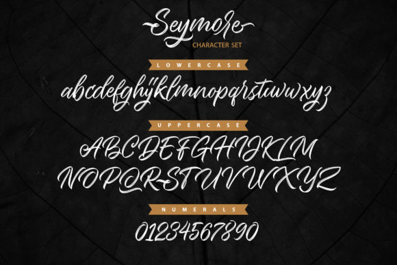 Seymore Font Poster 8