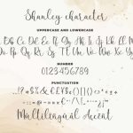 Shanley Font Poster 6