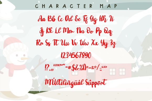 Shasha Christmas Font Poster 13