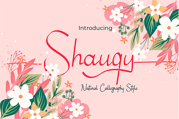 Shauqy Font