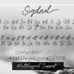 Sigduel Font Poster 6