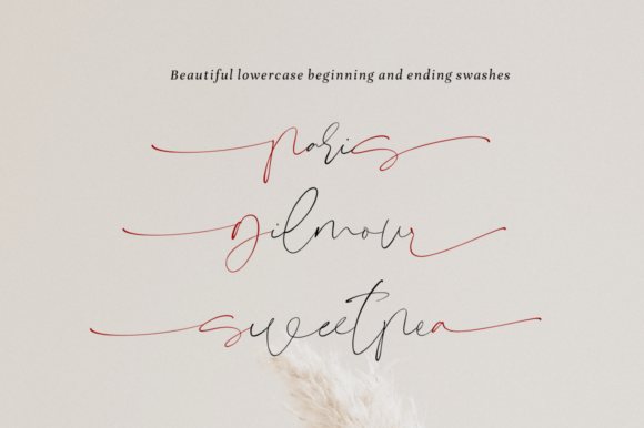 Signeritta Font Poster 14