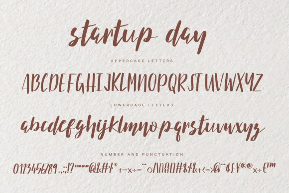 Startup Day Font Poster 5