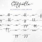 Steffinella Font Poster 10