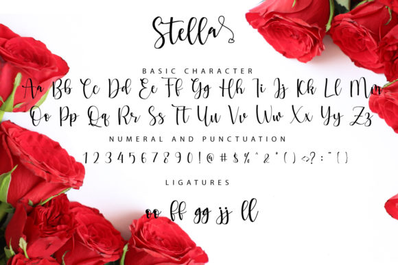 Stella Font Poster 6