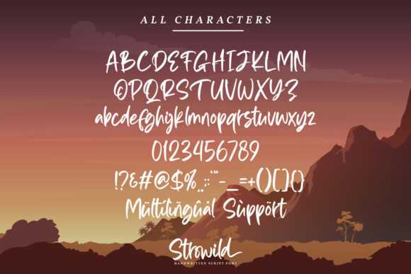 Strowild Font Poster 6