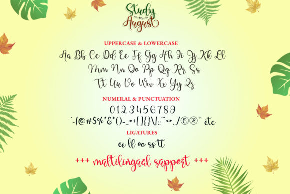 Study in August Font Poster 7