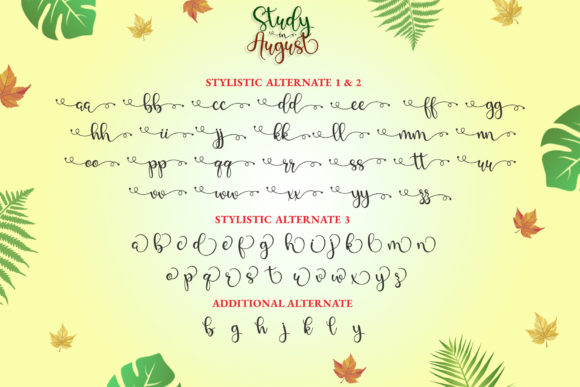 Study in August Font Poster 8