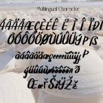 Summer Clam Font Poster 8