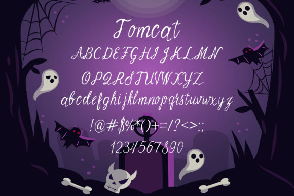 Tomcat Font Poster 2