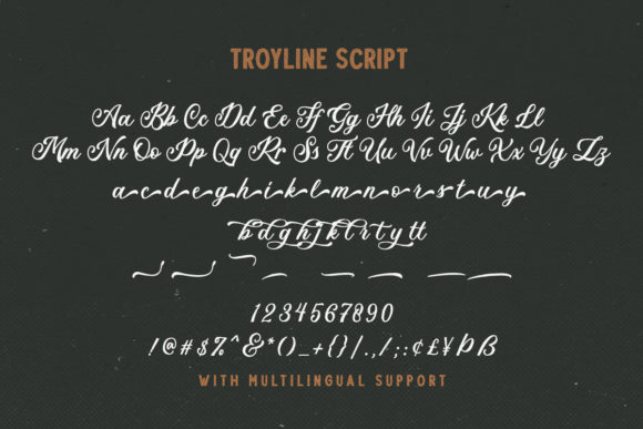Troyline Font Poster 9