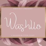 Washllo Font Poster 2