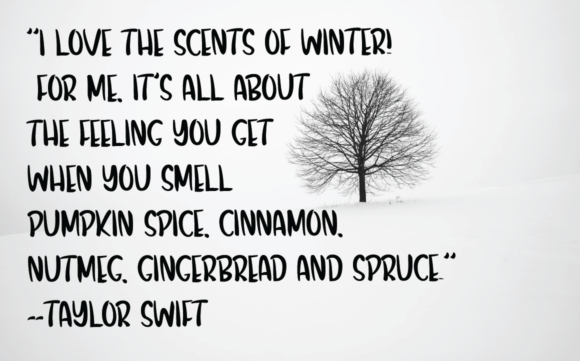 Winter Fall Font Poster 2
