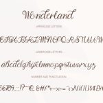 Wonderland Font Poster 5