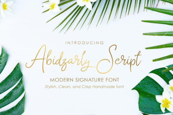 Abidzarly Font Poster 1