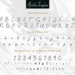 Acilla Tristan Font Poster 4