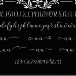 Alaycia Font Poster 6