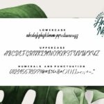 Amelia Nature Font Poster 6