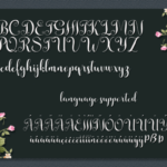 Annissa Font Poster 7