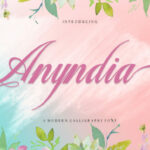 Anyndia Font Poster 7