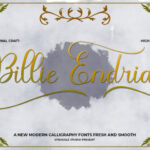 Billie Endria Font Poster 1