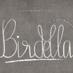 Birdella Font Poster 2