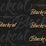 Blackcat Font Poster 9