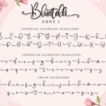 Bluettelli Font Poster 15