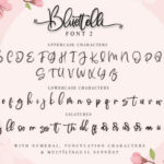 Bluettelli Font Poster 16