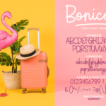 Boniceta Font Poster 2